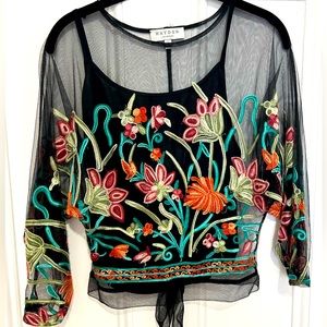 Embroidered see-through fine mesh top